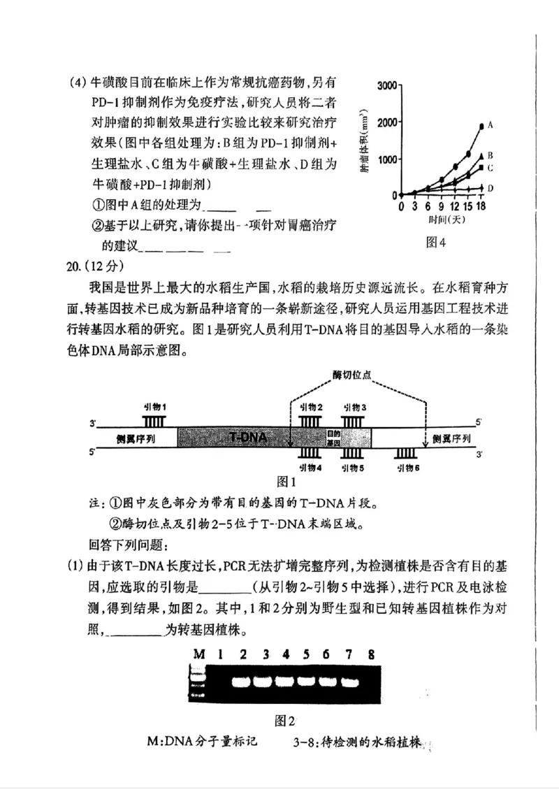 福建省三明市2025年普通高中高三毕业班质量检测生物_2025年5月_250510福建省三明市2025年普通高中高三毕业班质量检测（全科）