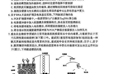 福建省三明市2025年普通高中高三毕业班质量检测生物_2025年5月_250510福建省三明市2025年普通高中高三毕业班质量检测（全科）