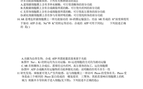 江苏省盐城市七校联盟2026届高三上学期9月第一次学情检测试题生物（含答案）_2025年9月_250924江苏省盐城市七校联盟2026届高三上学期9月第一次学情检测（全科）