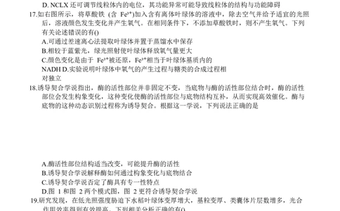 江苏省盐城市七校联盟2026届高三上学期9月第一次学情检测试题生物（含答案）_2025年9月_250924江苏省盐城市七校联盟2026届高三上学期9月第一次学情检测（全科）