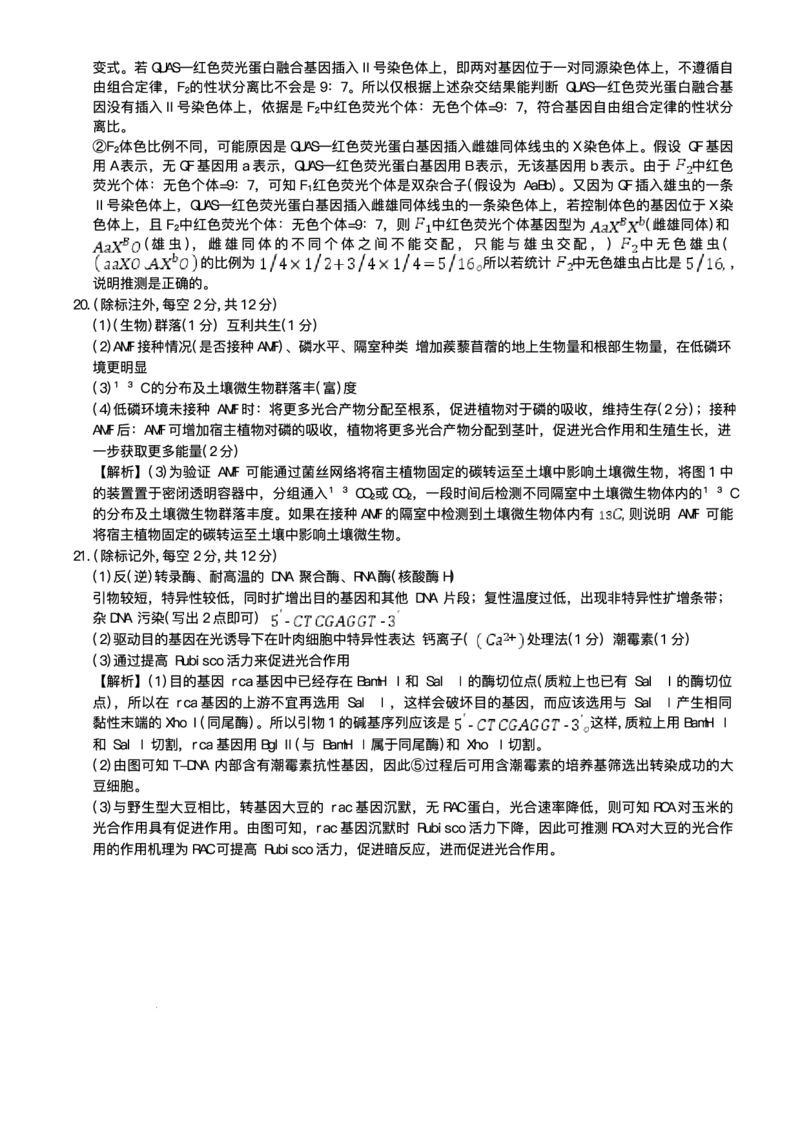 湖南省长沙市湖南师范大学附属中学2025届高三下学期模拟试卷（二）生物（含答案）_2025年5月_2505112025届湖南省长沙市湖南师范大学附属中学高三下学期模拟考试（二）（全科）