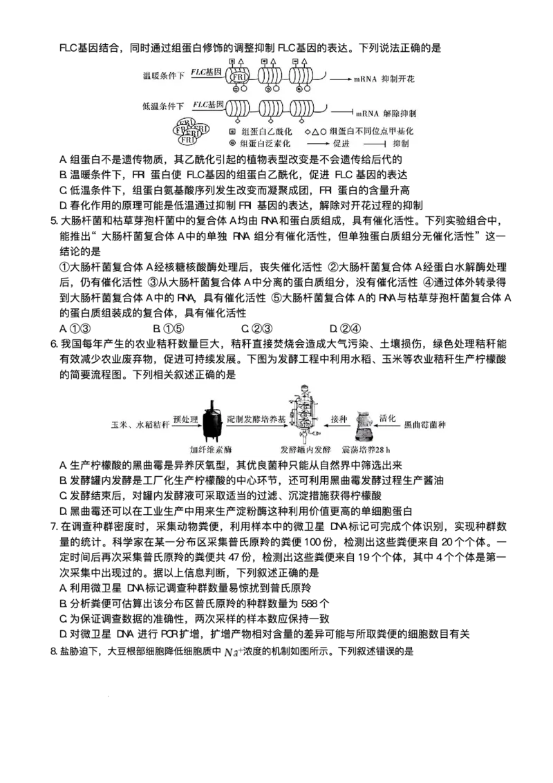 湖南省长沙市湖南师范大学附属中学2025届高三下学期模拟试卷（二）生物（含答案）_2025年5月_2505112025届湖南省长沙市湖南师范大学附属中学高三下学期模拟考试（二）（全科）