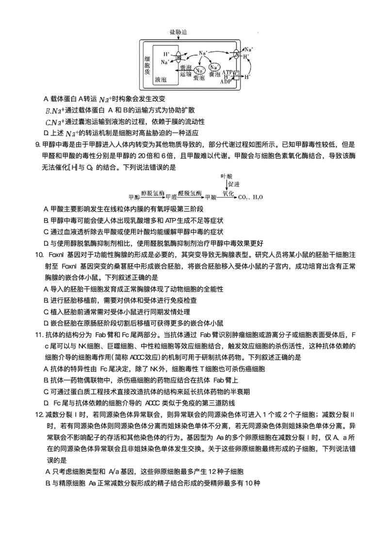 湖南省长沙市湖南师范大学附属中学2025届高三下学期模拟试卷（二）生物（含答案）_2025年5月_2505112025届湖南省长沙市湖南师范大学附属中学高三下学期模拟考试（二）（全科）