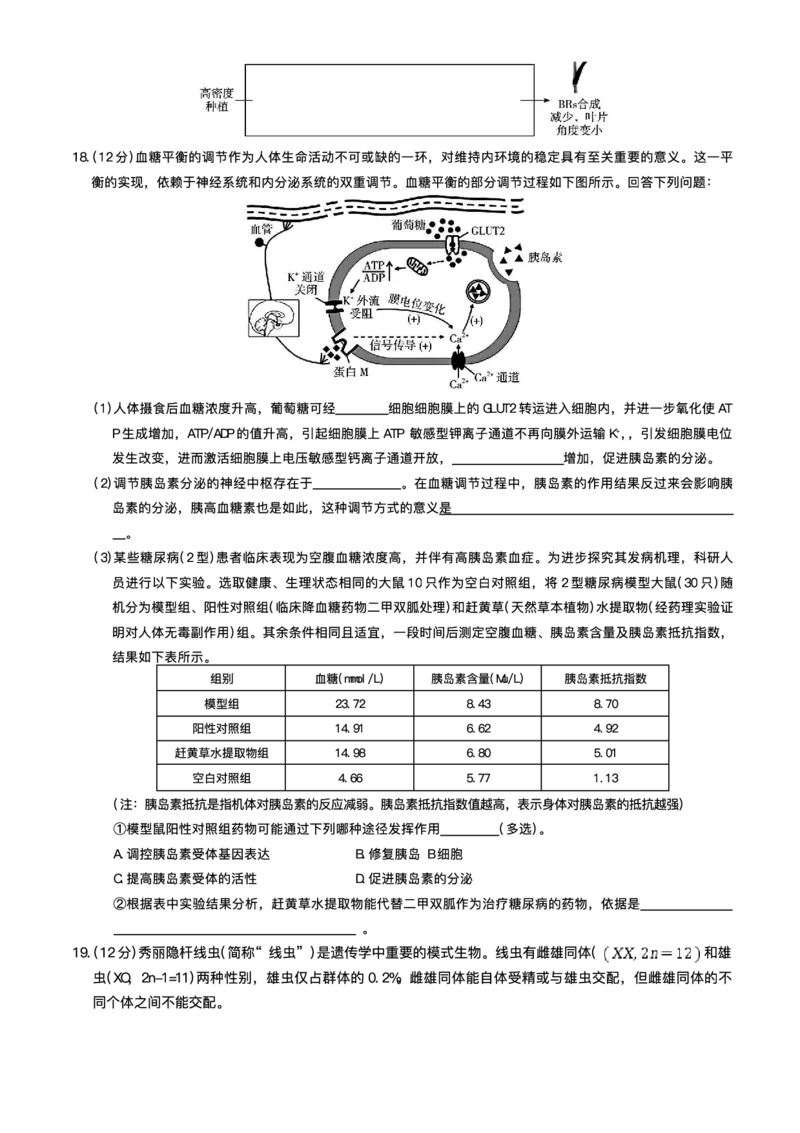 湖南省长沙市湖南师范大学附属中学2025届高三下学期模拟试卷（二）生物（含答案）_2025年5月_2505112025届湖南省长沙市湖南师范大学附属中学高三下学期模拟考试（二）（全科）