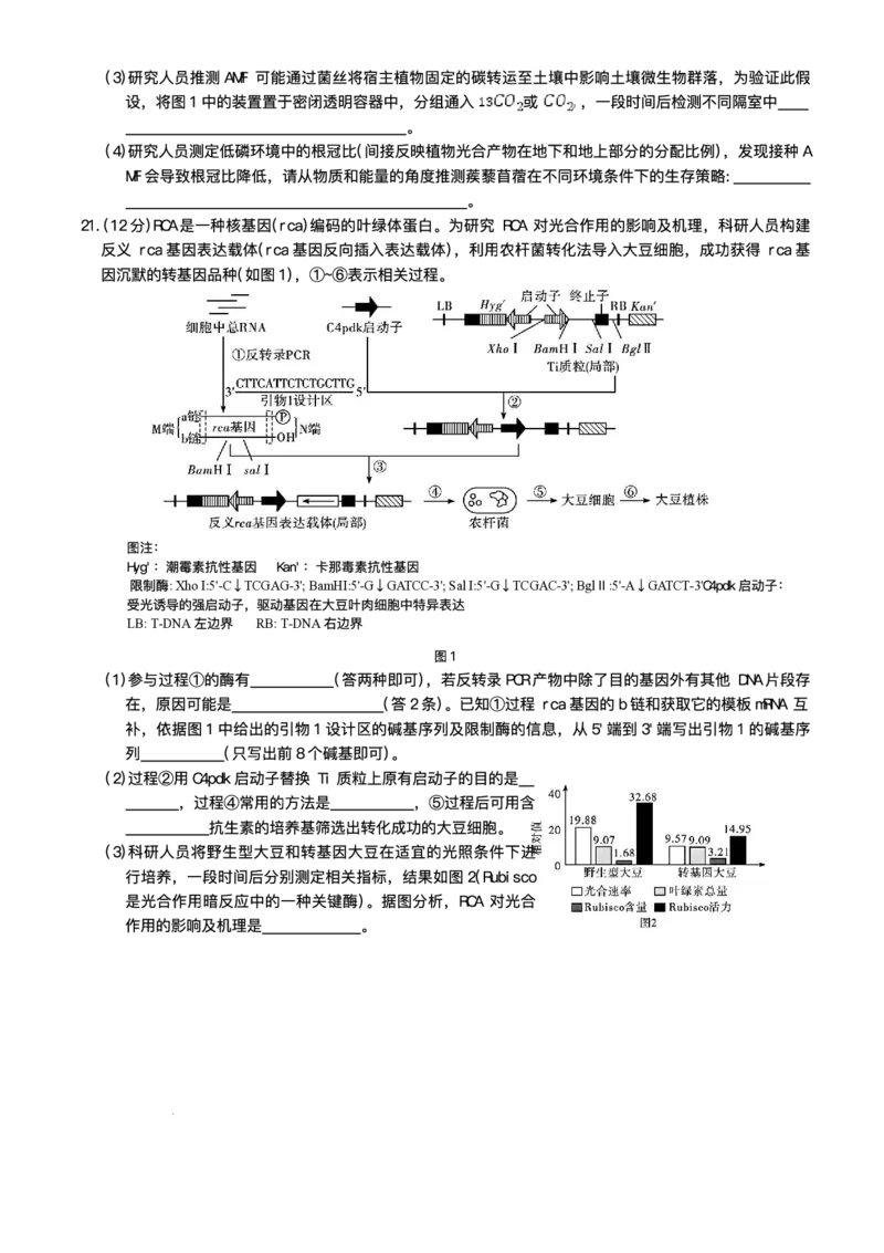湖南省长沙市湖南师范大学附属中学2025届高三下学期模拟试卷（二）生物（含答案）_2025年5月_2505112025届湖南省长沙市湖南师范大学附属中学高三下学期模拟考试（二）（全科）