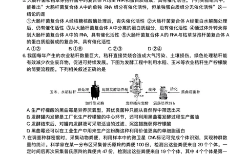 湖南省长沙市湖南师范大学附属中学2025届高三下学期模拟试卷（二）生物（含答案）_2025年5月_2505112025届湖南省长沙市湖南师范大学附属中学高三下学期模拟考试（二）（全科）