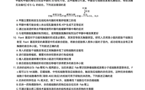 湖南省长沙市湖南师范大学附属中学2025届高三下学期模拟试卷（二）生物（含答案）_2025年5月_2505112025届湖南省长沙市湖南师范大学附属中学高三下学期模拟考试（二）（全科）