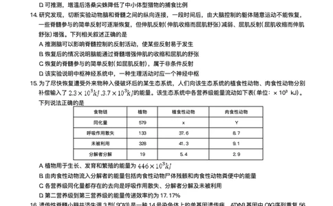 湖南省长沙市湖南师范大学附属中学2025届高三下学期模拟试卷（二）生物（含答案）_2025年5月_2505112025届湖南省长沙市湖南师范大学附属中学高三下学期模拟考试（二）（全科）