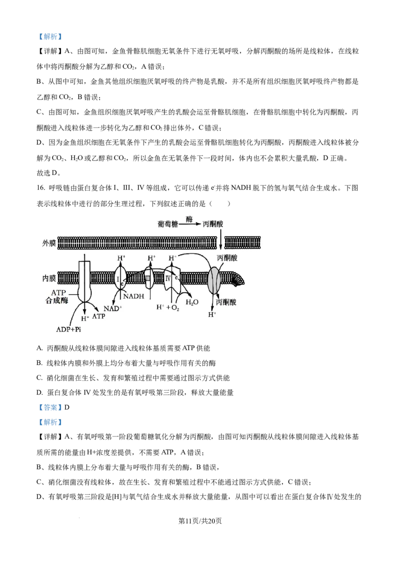精品解析：安徽省合肥市第七中学2025-2026学年高三上学期第一次质量检测生物试题（解析版）_2025年9月_250924安徽省合肥市第七中学2025-2026学年高三上学期第一次质量检测（全科）