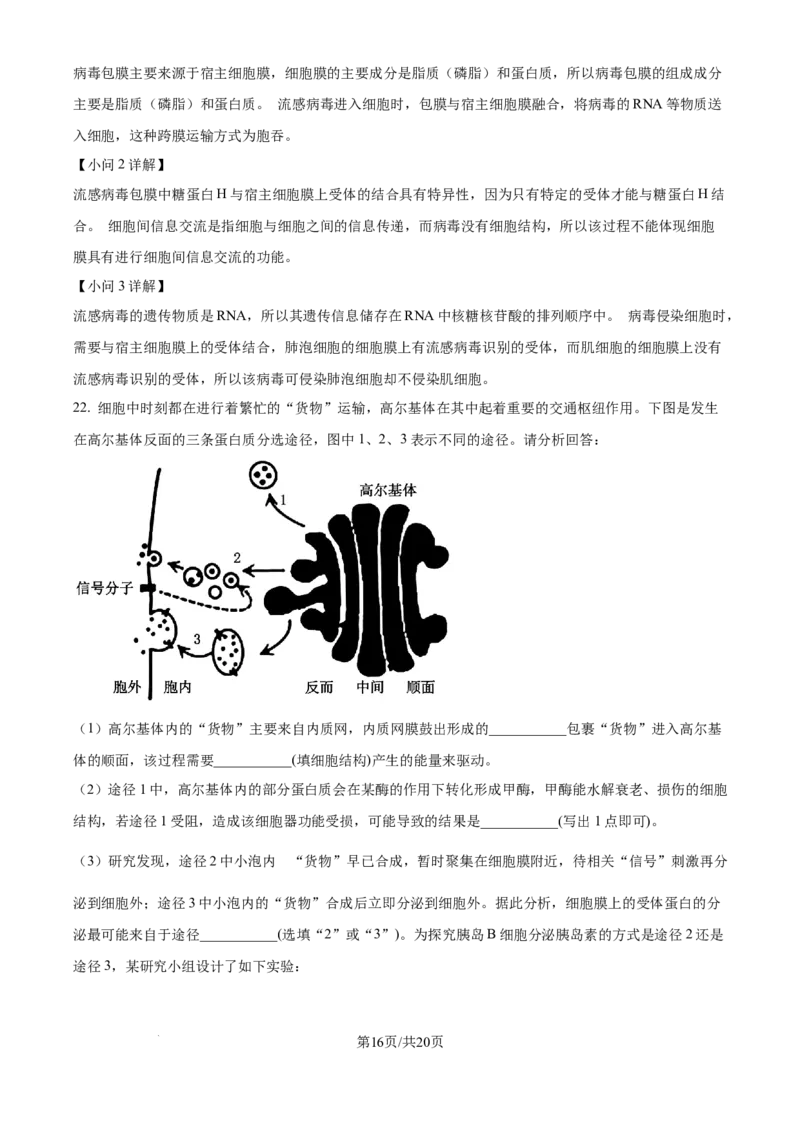 精品解析：安徽省合肥市第七中学2025-2026学年高三上学期第一次质量检测生物试题（解析版）_2025年9月_250924安徽省合肥市第七中学2025-2026学年高三上学期第一次质量检测（全科）