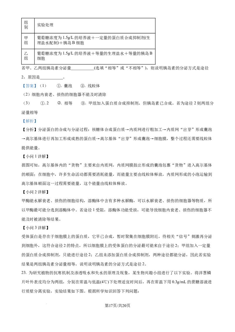 精品解析：安徽省合肥市第七中学2025-2026学年高三上学期第一次质量检测生物试题（解析版）_2025年9月_250924安徽省合肥市第七中学2025-2026学年高三上学期第一次质量检测（全科）