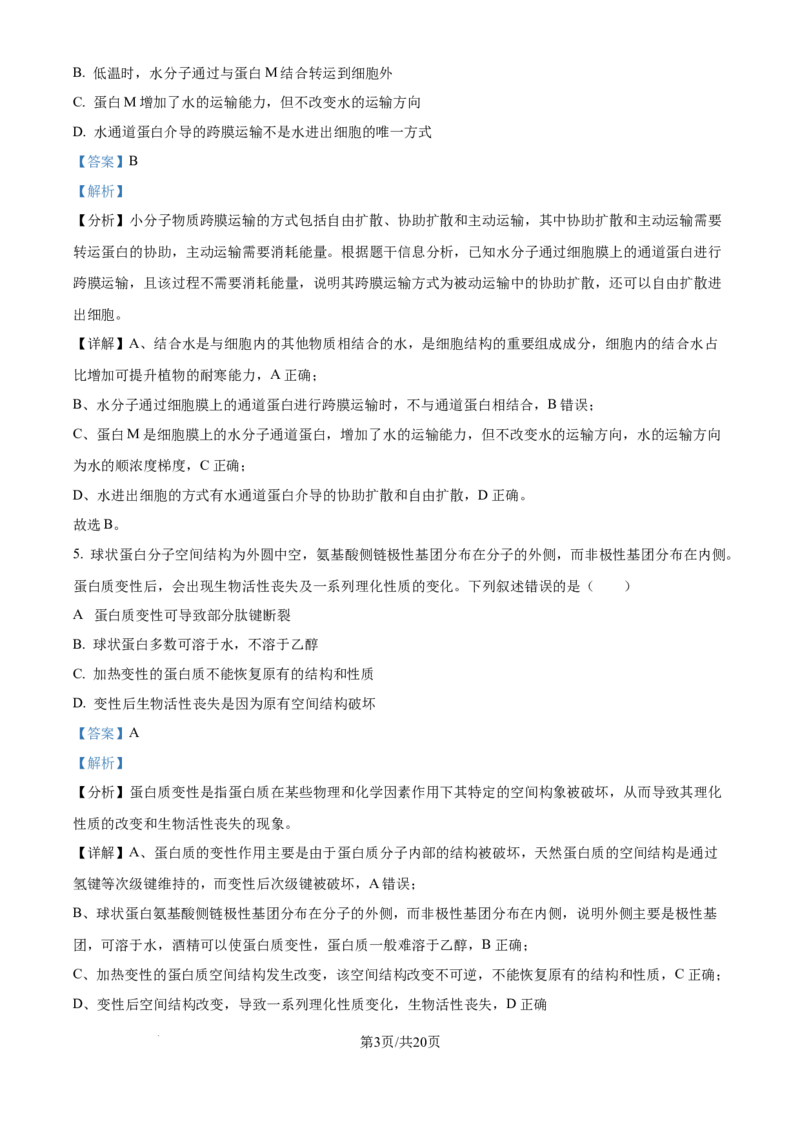 精品解析：安徽省合肥市第七中学2025-2026学年高三上学期第一次质量检测生物试题（解析版）_2025年9月_250924安徽省合肥市第七中学2025-2026学年高三上学期第一次质量检测（全科）