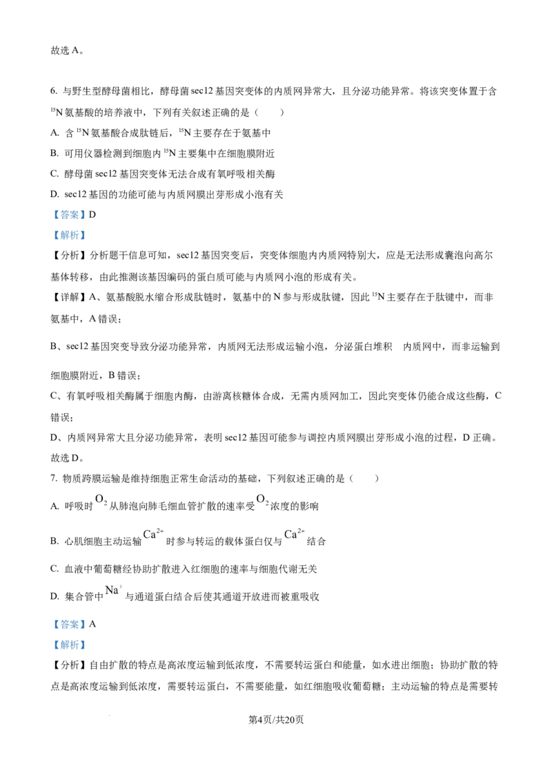 精品解析：安徽省合肥市第七中学2025-2026学年高三上学期第一次质量检测生物试题（解析版）_2025年9月_250924安徽省合肥市第七中学2025-2026学年高三上学期第一次质量检测（全科）