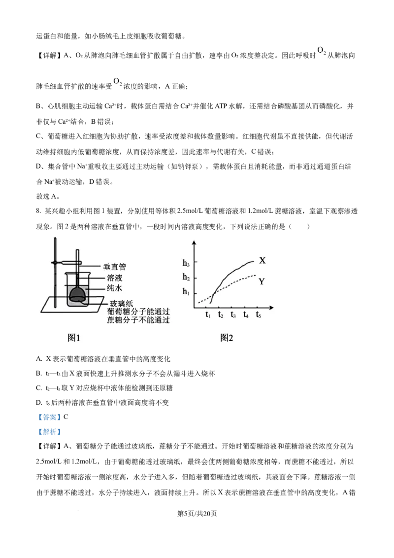 精品解析：安徽省合肥市第七中学2025-2026学年高三上学期第一次质量检测生物试题（解析版）_2025年9月_250924安徽省合肥市第七中学2025-2026学年高三上学期第一次质量检测（全科）