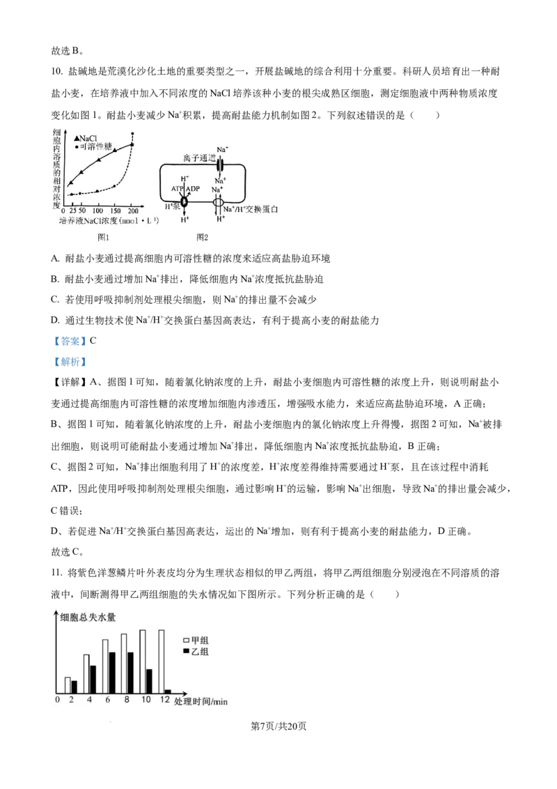 精品解析：安徽省合肥市第七中学2025-2026学年高三上学期第一次质量检测生物试题（解析版）_2025年9月_250924安徽省合肥市第七中学2025-2026学年高三上学期第一次质量检测（全科）
