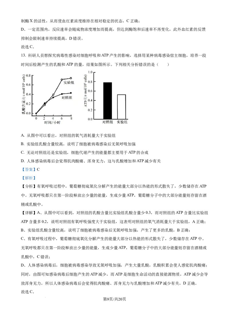 精品解析：安徽省合肥市第七中学2025-2026学年高三上学期第一次质量检测生物试题（解析版）_2025年9月_250924安徽省合肥市第七中学2025-2026学年高三上学期第一次质量检测（全科）