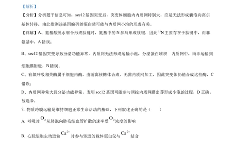 精品解析：安徽省合肥市第七中学2025-2026学年高三上学期第一次质量检测生物试题（解析版）_2025年9月_250924安徽省合肥市第七中学2025-2026学年高三上学期第一次质量检测（全科）