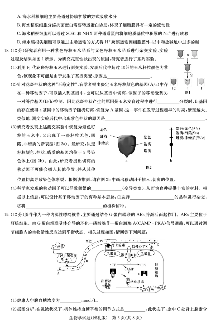 炎德&middot;英才大联考雅礼中学2025届模拟试卷（一）生物_2025年5月_250513湖南省炎德&middot;英才大联考雅礼中学2025届模拟试卷（一）（全科）