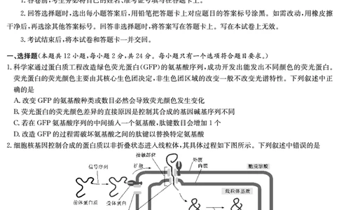 炎德&middot;英才大联考雅礼中学2025届模拟试卷（一）生物_2025年5月_250513湖南省炎德&middot;英才大联考雅礼中学2025届模拟试卷（一）（全科）