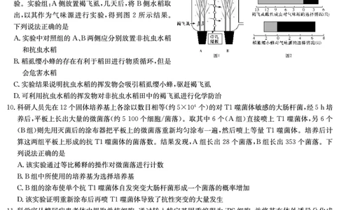 炎德&middot;英才大联考雅礼中学2025届模拟试卷（一）生物_2025年5月_250513湖南省炎德&middot;英才大联考雅礼中学2025届模拟试卷（一）（全科）