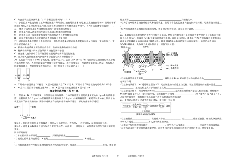 吉林省白城市实验高级中学2025届高三上学期1月期生物+答案_2025年1月_250108吉林省白城市实验高级中学2025届高三上学期1月期末考试