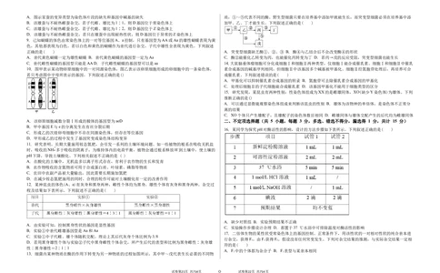 吉林省白城市实验高级中学2025届高三上学期1月期生物+答案_2025年1月_250108吉林省白城市实验高级中学2025届高三上学期1月期末考试
