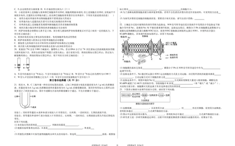 吉林省白城市实验高级中学2025届高三上学期1月期生物+答案_2025年1月_250108吉林省白城市实验高级中学2025届高三上学期1月期末考试