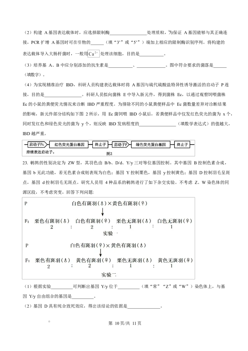 河北省沧州市普通高中2026届高三复习质量检测+生物_2025年10月_251020河北省沧州市普通高中2026届高三复习质量检测（全科）