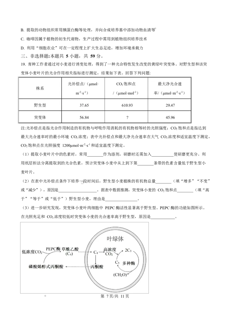 河北省沧州市普通高中2026届高三复习质量检测+生物_2025年10月_251020河北省沧州市普通高中2026届高三复习质量检测（全科）