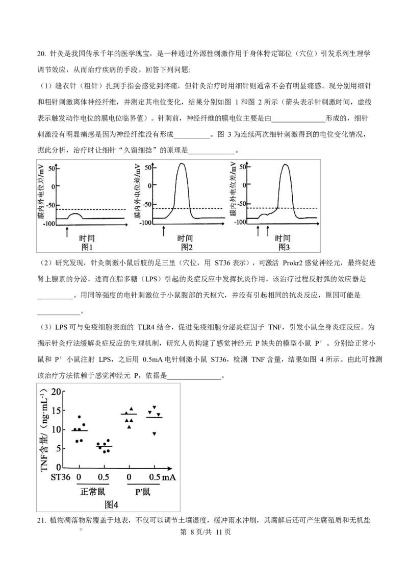 河北省沧州市普通高中2026届高三复习质量检测+生物_2025年10月_251020河北省沧州市普通高中2026届高三复习质量检测（全科）