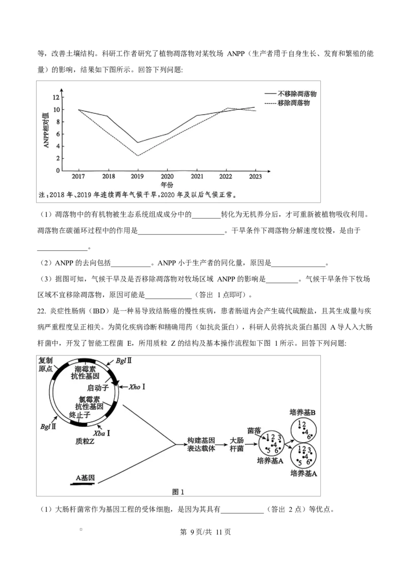 河北省沧州市普通高中2026届高三复习质量检测+生物_2025年10月_251020河北省沧州市普通高中2026届高三复习质量检测（全科）