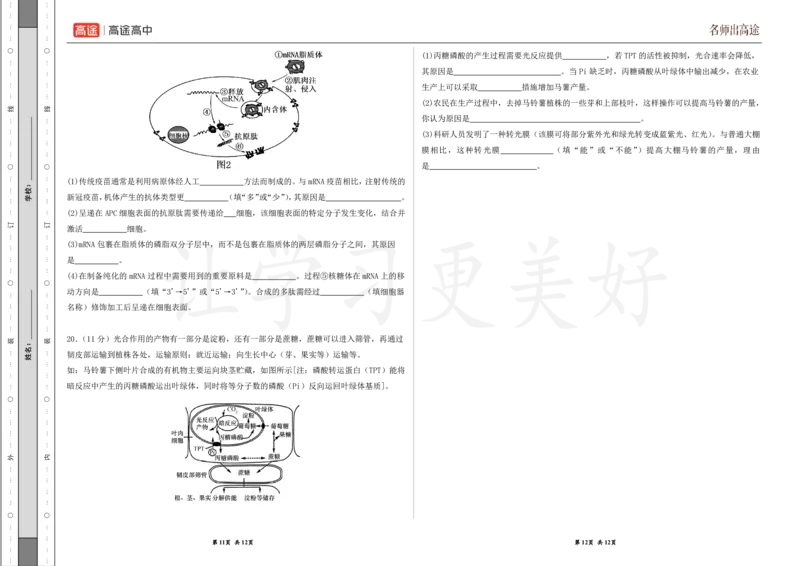 (8.47)-点睛押题卷&mdash;&mdash;重庆卷_2024高考押题卷_132024高途全系列_26高途点睛卷_2024点睛密卷-生物