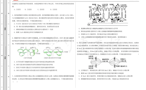 (8.47)-点睛押题卷&mdash;&mdash;重庆卷_2024高考押题卷_132024高途全系列_26高途点睛卷_2024点睛密卷-生物