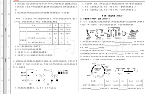 (8.47)-点睛押题卷&mdash;&mdash;重庆卷_2024高考押题卷_132024高途全系列_26高途点睛卷_2024点睛密卷-生物