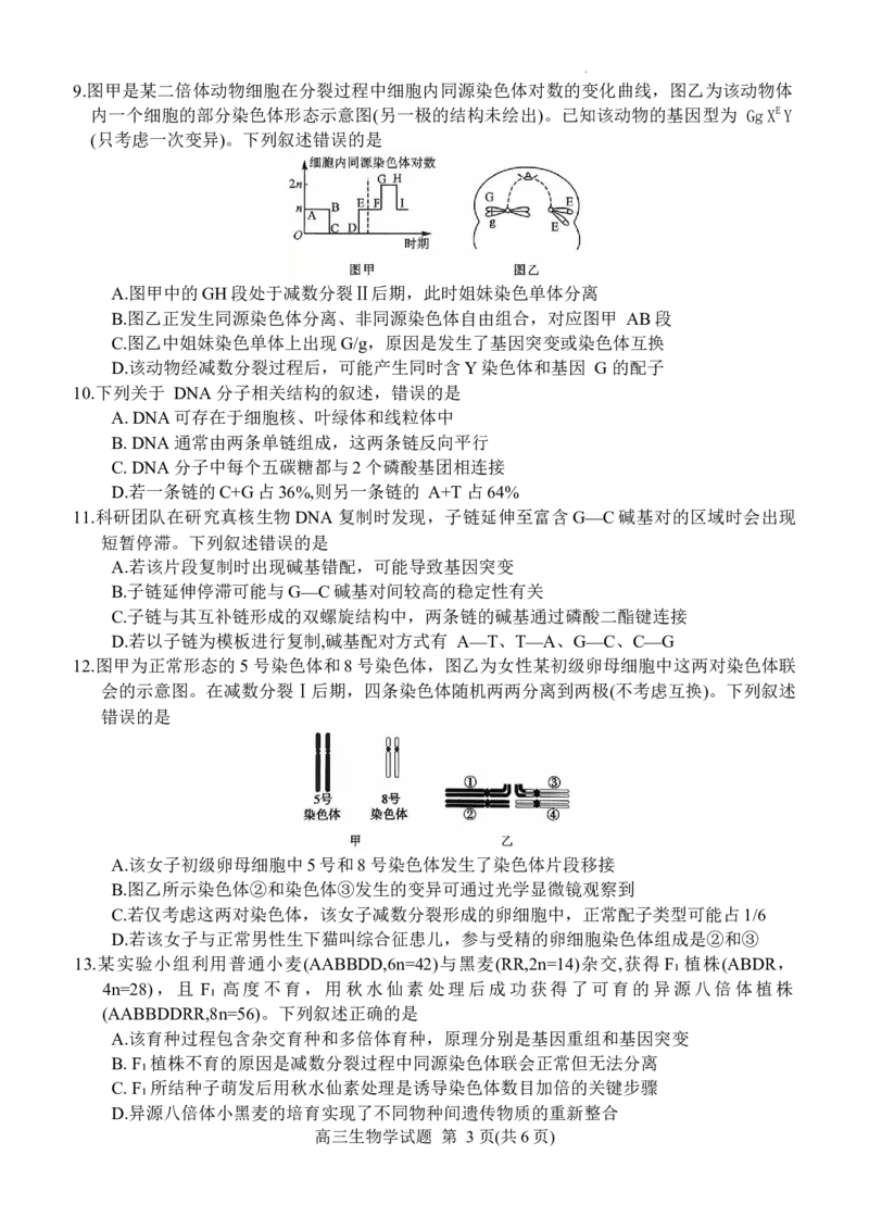 新未来联考试卷_2025年10月_251024河南省新未来大联考2025-2026学年高三上学期10月联合测评（全科）_河南省新未来2025~2026学年高三上学期10月联合测评生物学试题