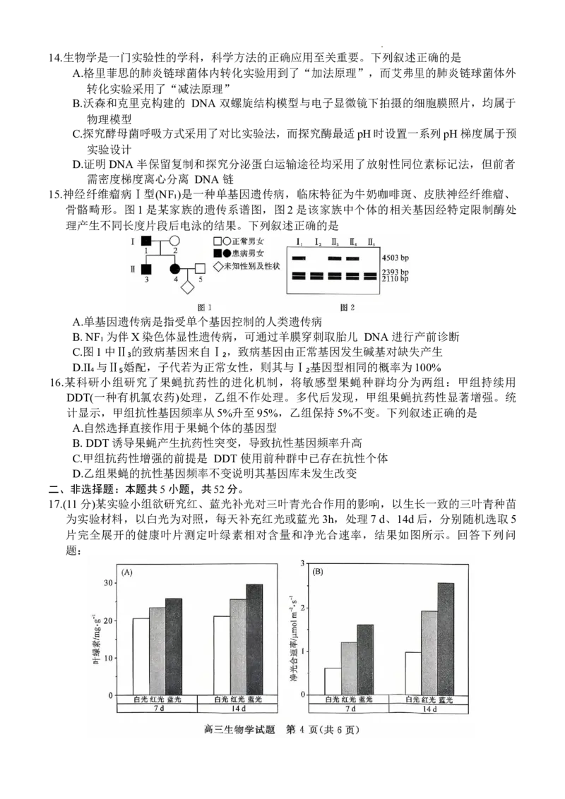 新未来联考试卷_2025年10月_251024河南省新未来大联考2025-2026学年高三上学期10月联合测评（全科）_河南省新未来2025~2026学年高三上学期10月联合测评生物学试题