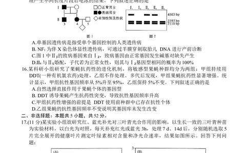 新未来联考试卷_2025年10月_251024河南省新未来大联考2025-2026学年高三上学期10月联合测评（全科）_河南省新未来2025~2026学年高三上学期10月联合测评生物学试题