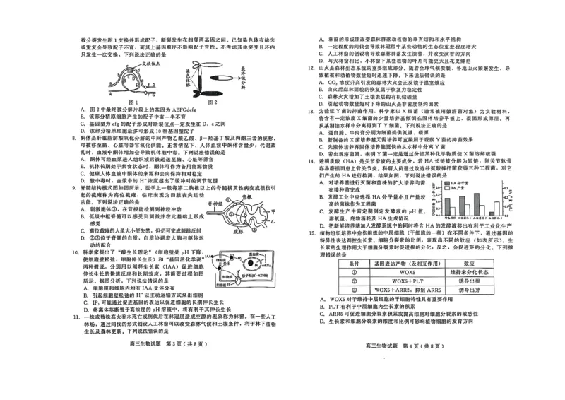 生物试卷_2025年1月_250116山东省潍坊市、临沂市2024-2025学年度2025届高三上学期期末质量检测（全科）_山东省潍坊市2024-2025学年高三上学期1月期末生物
