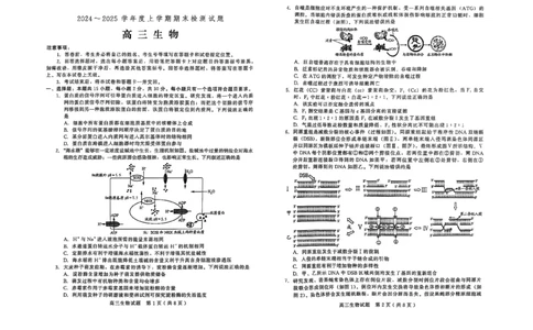 生物试卷_2025年1月_250116山东省潍坊市、临沂市2024-2025学年度2025届高三上学期期末质量检测（全科）_山东省潍坊市2024-2025学年高三上学期1月期末生物