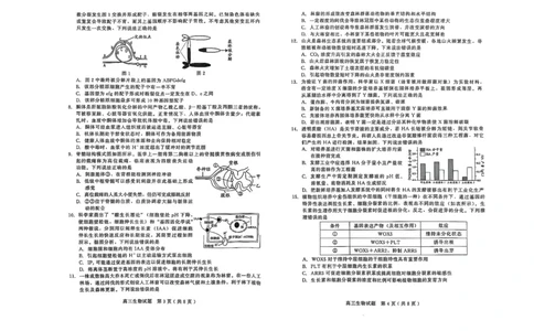 生物试卷_2025年1月_250116山东省潍坊市、临沂市2024-2025学年度2025届高三上学期期末质量检测（全科）_山东省潍坊市2024-2025学年高三上学期1月期末生物