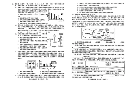 生物试卷_2025年1月_250116山东省潍坊市、临沂市2024-2025学年度2025届高三上学期期末质量检测（全科）_山东省潍坊市2024-2025学年高三上学期1月期末生物