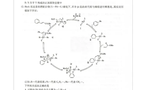 琢名小渔名校联考2026届高三年级开学调研检测化学_2025年9月_250903河北省琢名小渔名校联考2025-2026学年高三上学期开学调研检测（全科）