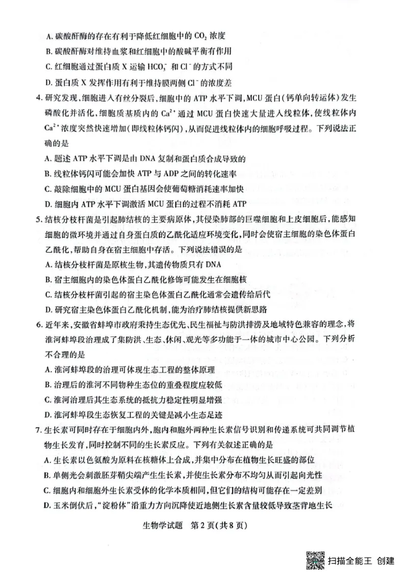安徽卓越县中联盟2024&mdash;2025学年高三下学期5月份检测生物试题+答案_2025年5月_250508安徽省卓越县中联盟2024-2025学年高三下学期5月检测