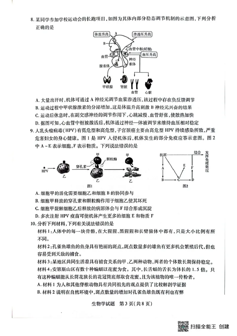 安徽卓越县中联盟2024&mdash;2025学年高三下学期5月份检测生物试题+答案_2025年5月_250508安徽省卓越县中联盟2024-2025学年高三下学期5月检测