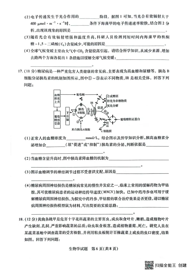 安徽卓越县中联盟2024&mdash;2025学年高三下学期5月份检测生物试题+答案_2025年5月_250508安徽省卓越县中联盟2024-2025学年高三下学期5月检测