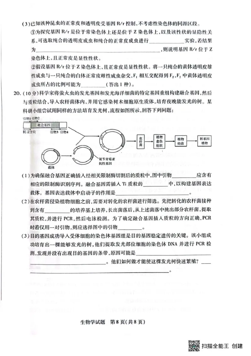 安徽卓越县中联盟2024&mdash;2025学年高三下学期5月份检测生物试题+答案_2025年5月_250508安徽省卓越县中联盟2024-2025学年高三下学期5月检测