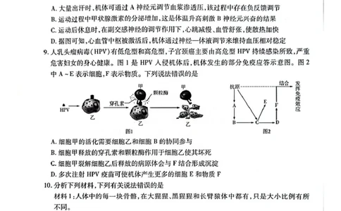 安徽卓越县中联盟2024&mdash;2025学年高三下学期5月份检测生物试题+答案_2025年5月_250508安徽省卓越县中联盟2024-2025学年高三下学期5月检测