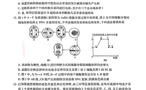 安徽卓越县中联盟2024&mdash;2025学年高三下学期5月份检测生物试题+答案_2025年5月_250508安徽省卓越县中联盟2024-2025学年高三下学期5月检测