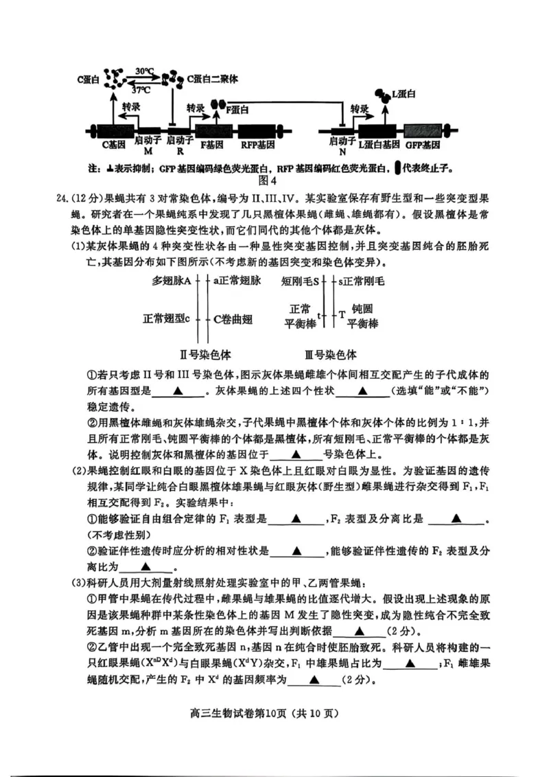 江苏省盐城市、盐城市2024-2025学年高三下学期第二次模拟考试生物试题（PDF版，无答案）_2025年3月_250321江苏省南京市、盐城市2025届高三第一次模拟考试（全科）