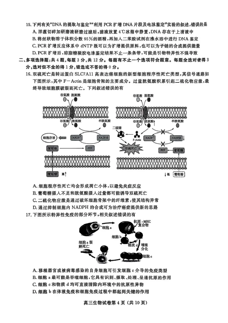 江苏省盐城市、盐城市2024-2025学年高三下学期第二次模拟考试生物试题（PDF版，无答案）_2025年3月_250321江苏省南京市、盐城市2025届高三第一次模拟考试（全科）